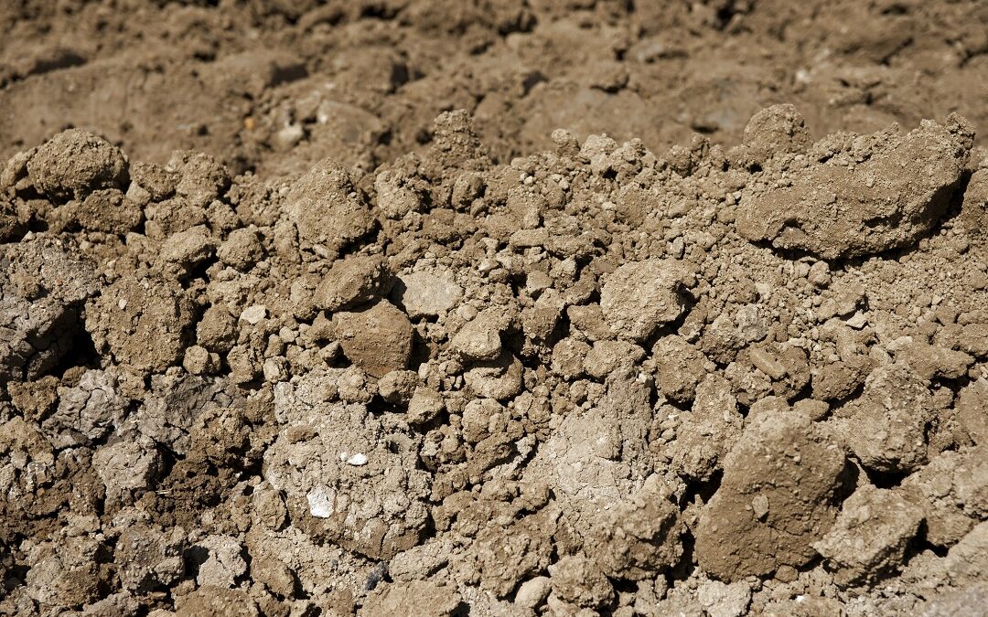 ziemia na placu budowy