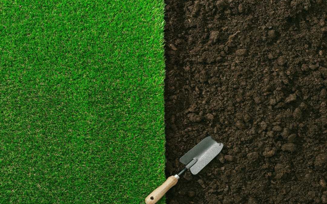 czarnoziem i trawnik