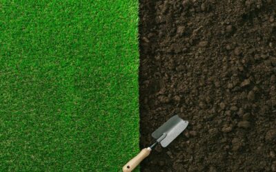 Jak obliczyć ilość czarnoziemu potrzebnego na trawnik?