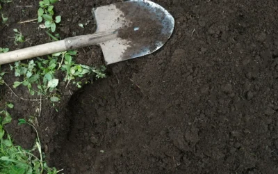 Jaki gruz nada się dla Twojej działki? Rodzaje tego kruszywa.