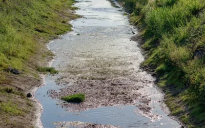 Kiedy masz obowiązek oczyszczenia rowu przy Twojej nieruchomości?